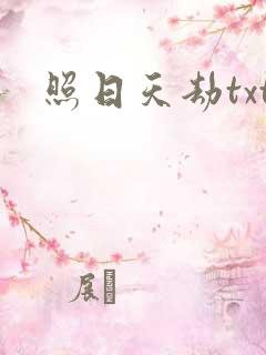 照日天劫txt