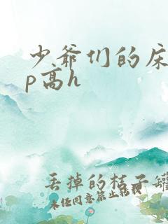 少爷们的床奴np高h