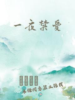 一夜禁爱