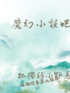魔幻小说吧