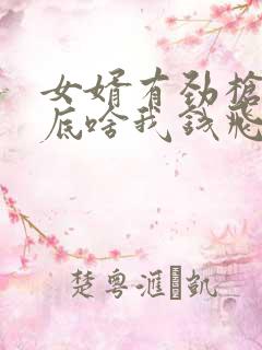 女婿有劲枪枪到底啥我钱飞了