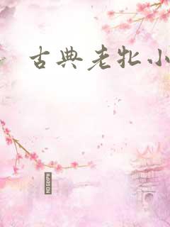 古典老牝小说