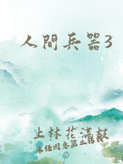 人间兵器3