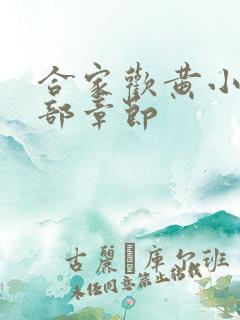 合家欢黄小梅全部章节