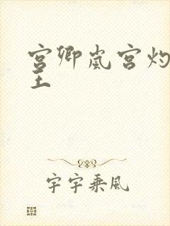 宫卿岚宫灼摄政王