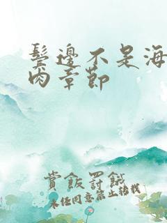 鬓边不是海棠红肉章节