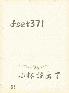 fset371