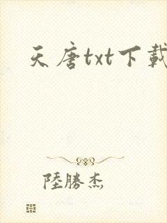天唐txt下载