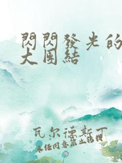 闪闪发光的小说大团结