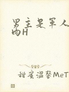 男主是军人的肉肉H