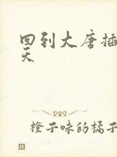 回到大唐插武则天