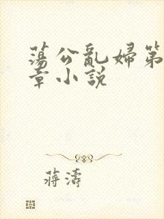 荡公乱妇第51章小说