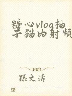 糖心vlog柚子猫内射频