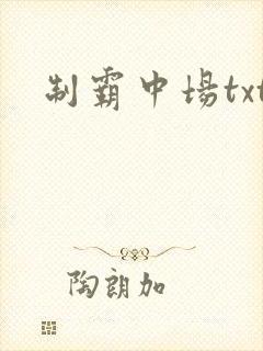 制霸中场txt