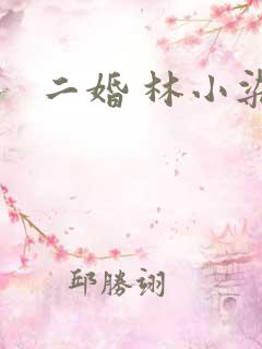 二婚 林小染
