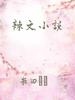 辣文小说