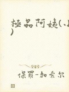 极品阿姨(小说)