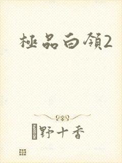 极品白领2