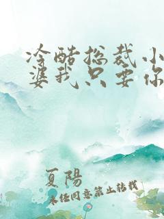 冷酷总裁小小老婆我只要你