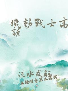 机动战士高达小说