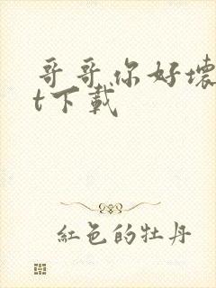 哥哥你好坏txt下载