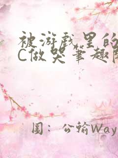 被游戏里的NPC做哭笔趣阁