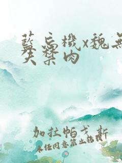 蓝忘机x魏无羡失禁肉