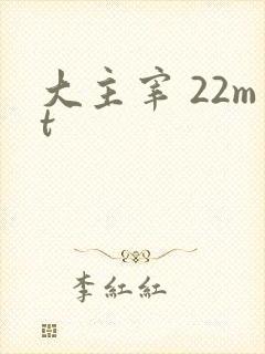 大主宰 22mt