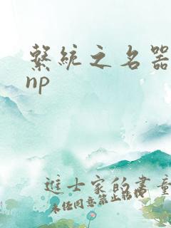 系统之名器攻略np