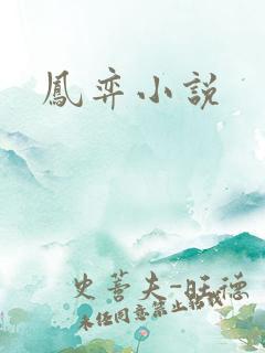 凤弈小说