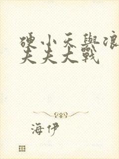 硬小天与浪小辉夫夫大战