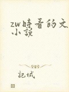 zw时看的文案小说