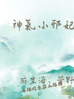 神气小邪妃