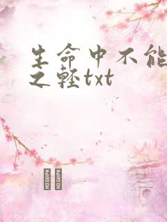 生命中不能承受之轻txt