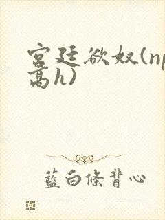 宫廷欲奴(np高h)