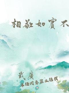 相敬如宾不相睹