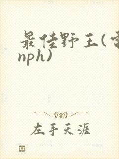 最佳野王(电竞nph)