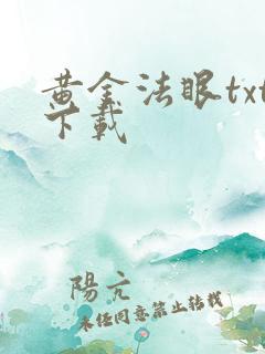 黄金法眼txt下载