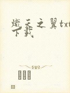 炽天之翼txt下载