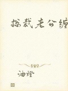 总裁老公缠上门