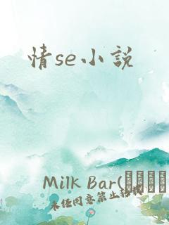 情se小说
