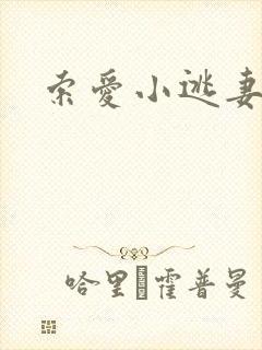 索爱小逃妻