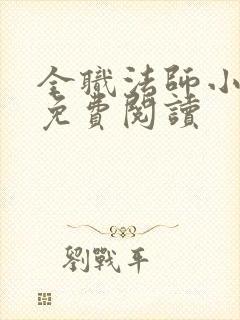 全职法师小说 免费阅读