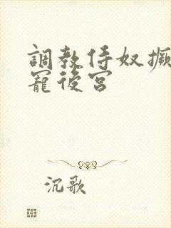 调教侍奴撅臀男宠后宫