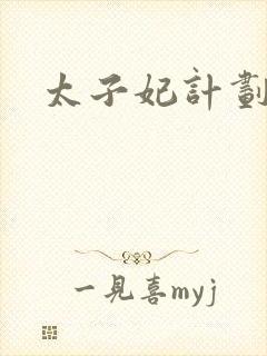 太子妃计划