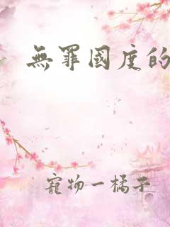 无罪国度的小说