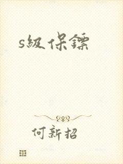 s级保镖