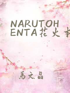 NARUTOHENTA花火本子