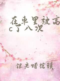 在车里被高潮被c了八次