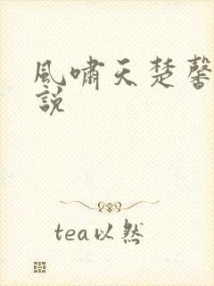 风啸天楚馨月小说